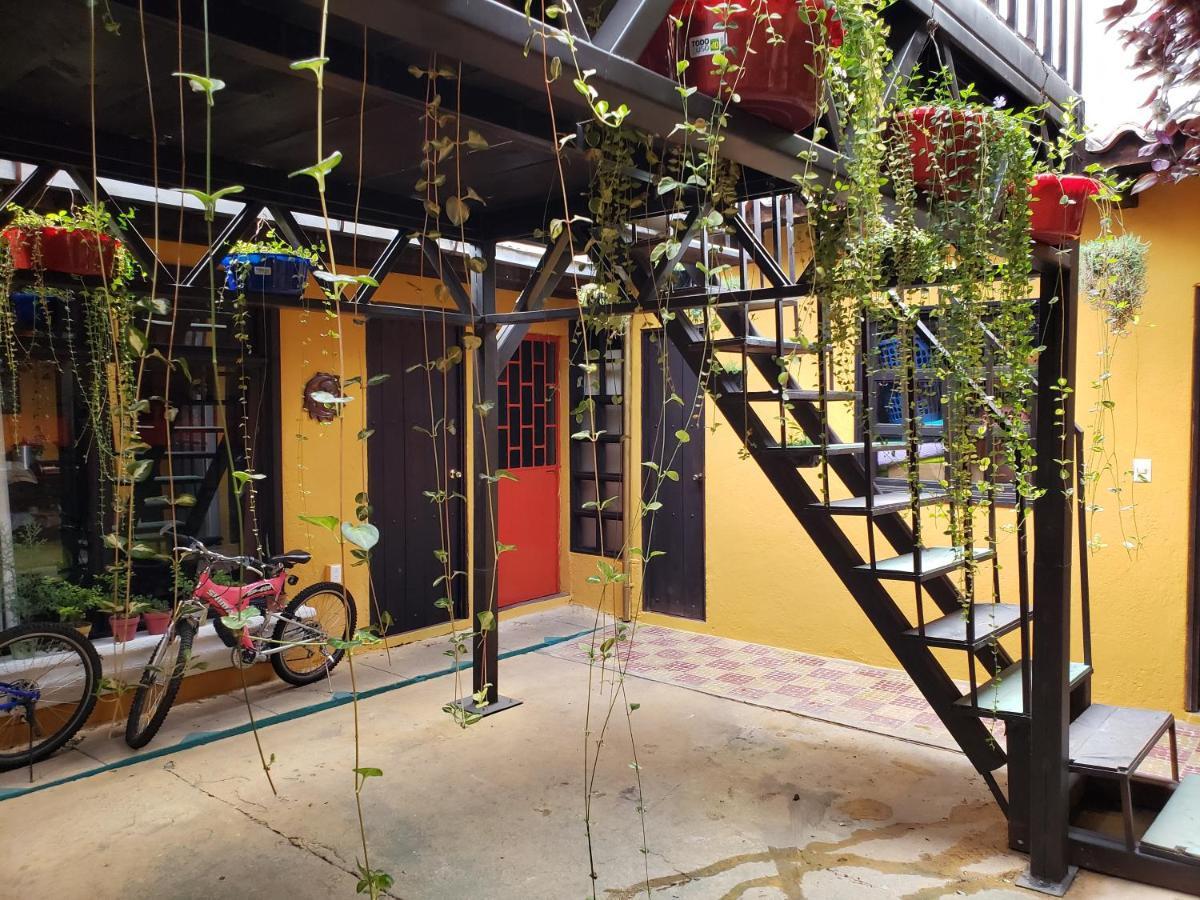 Bed and Breakfast Parrot House Antigua Exterior foto