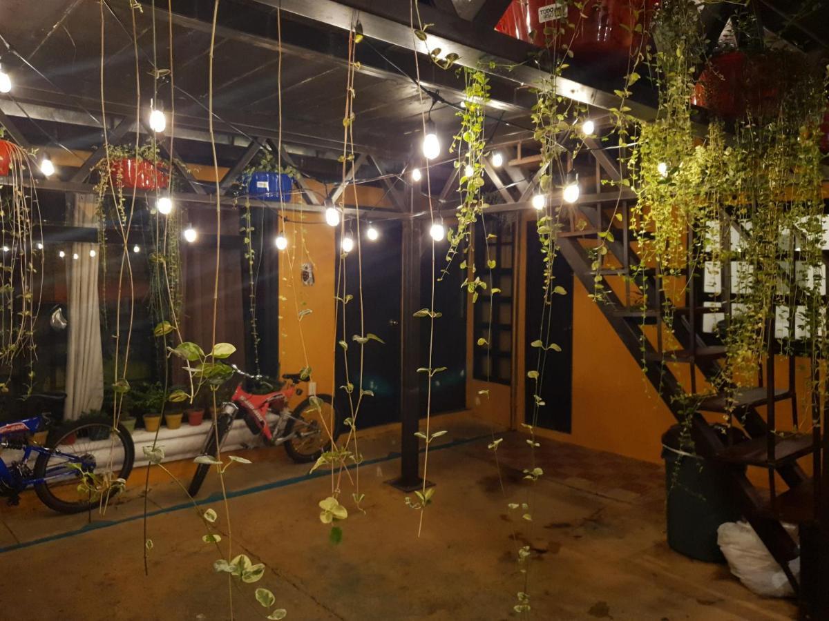 Bed and Breakfast Parrot House Antigua Exterior foto