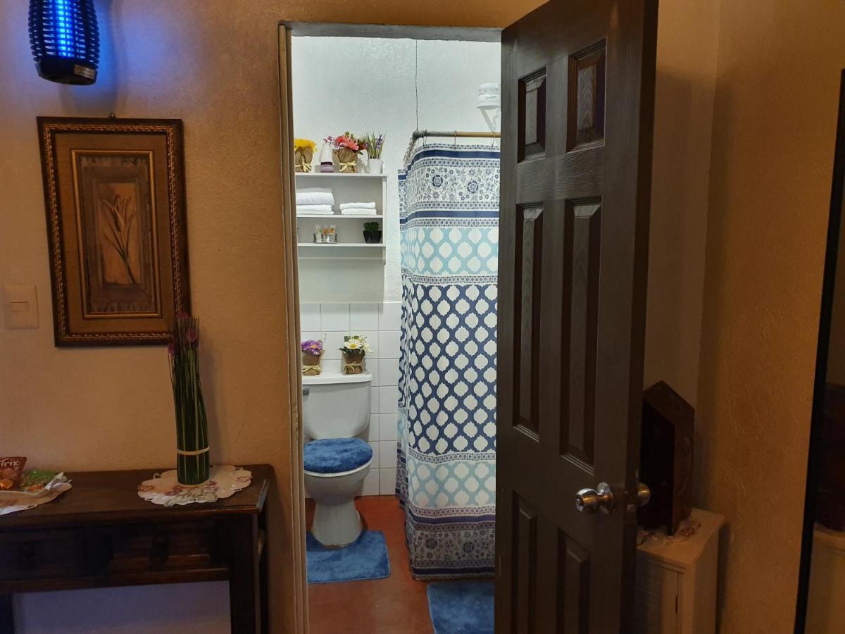 Bed and Breakfast Parrot House Antigua Exterior foto