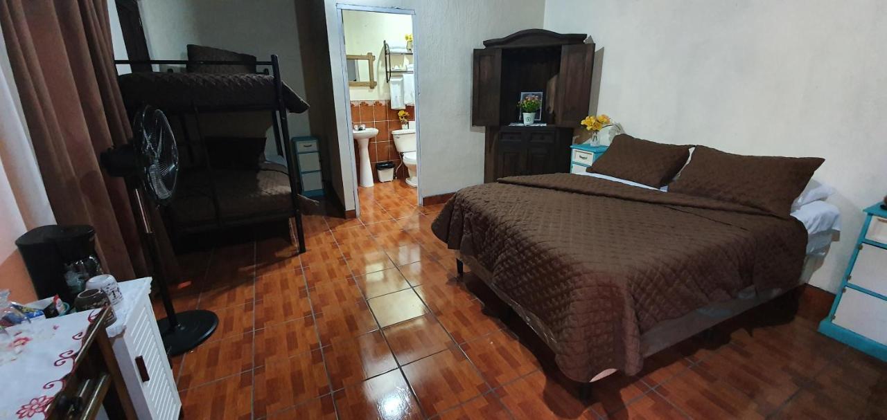 Bed and Breakfast Parrot House Antigua Exterior foto